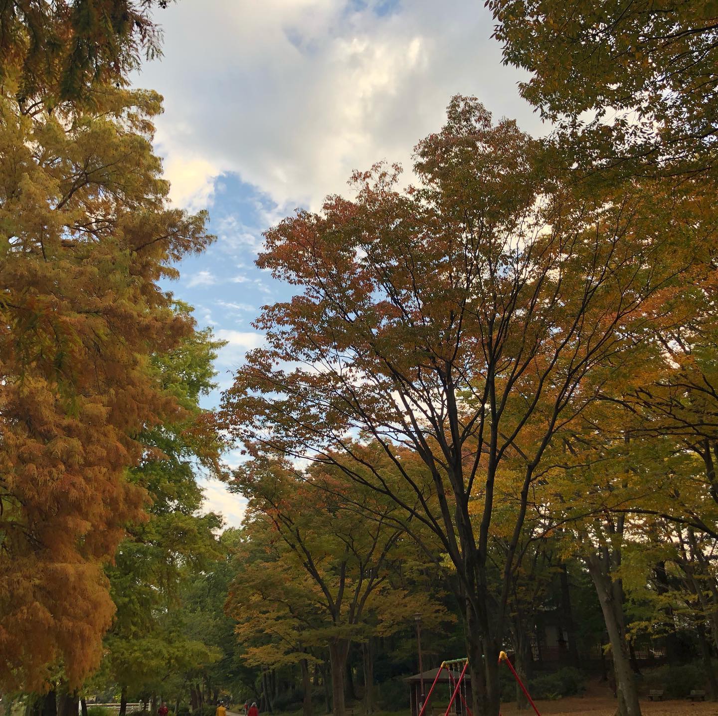 紅葉の石神井公園